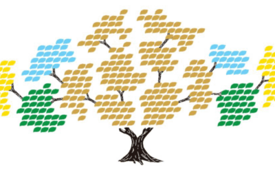 UPDATE PROGRESS OF PARISH PROJECTS
