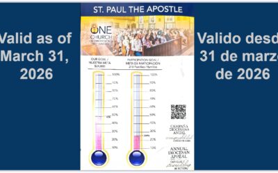 Advancement Foundation-Diocese