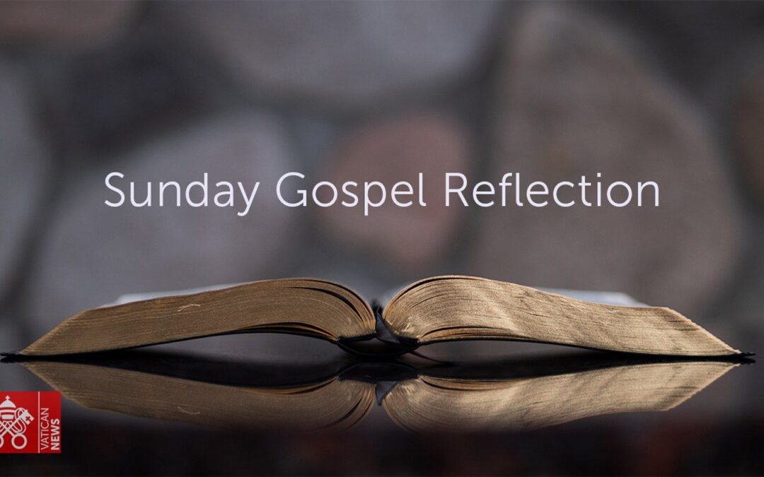 Sunday Gospel Reflection & Faith Exploration