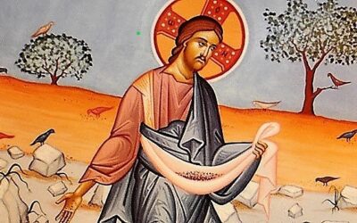 Message of the Fifteenth Sunday Ordinary Time – 07/12/2026