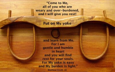 Fourteenth Ordinary Time’s Message – 7/5/2026