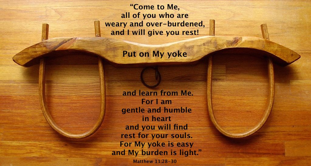 Fourteenth Ordinary Time